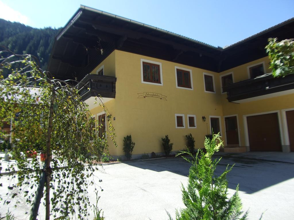 Appartement Schneegloeckchen Bad Gastein Ngoại thất bức ảnh